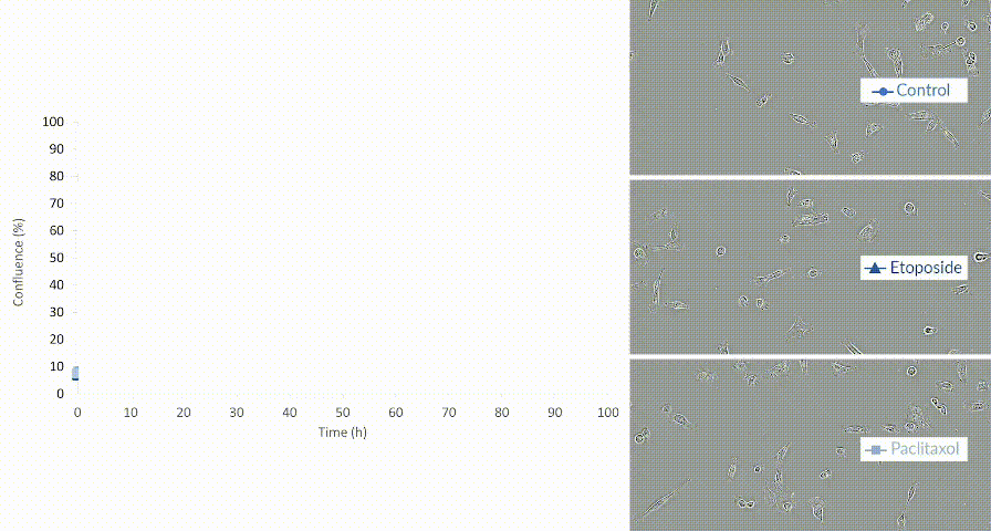 图片6.gif