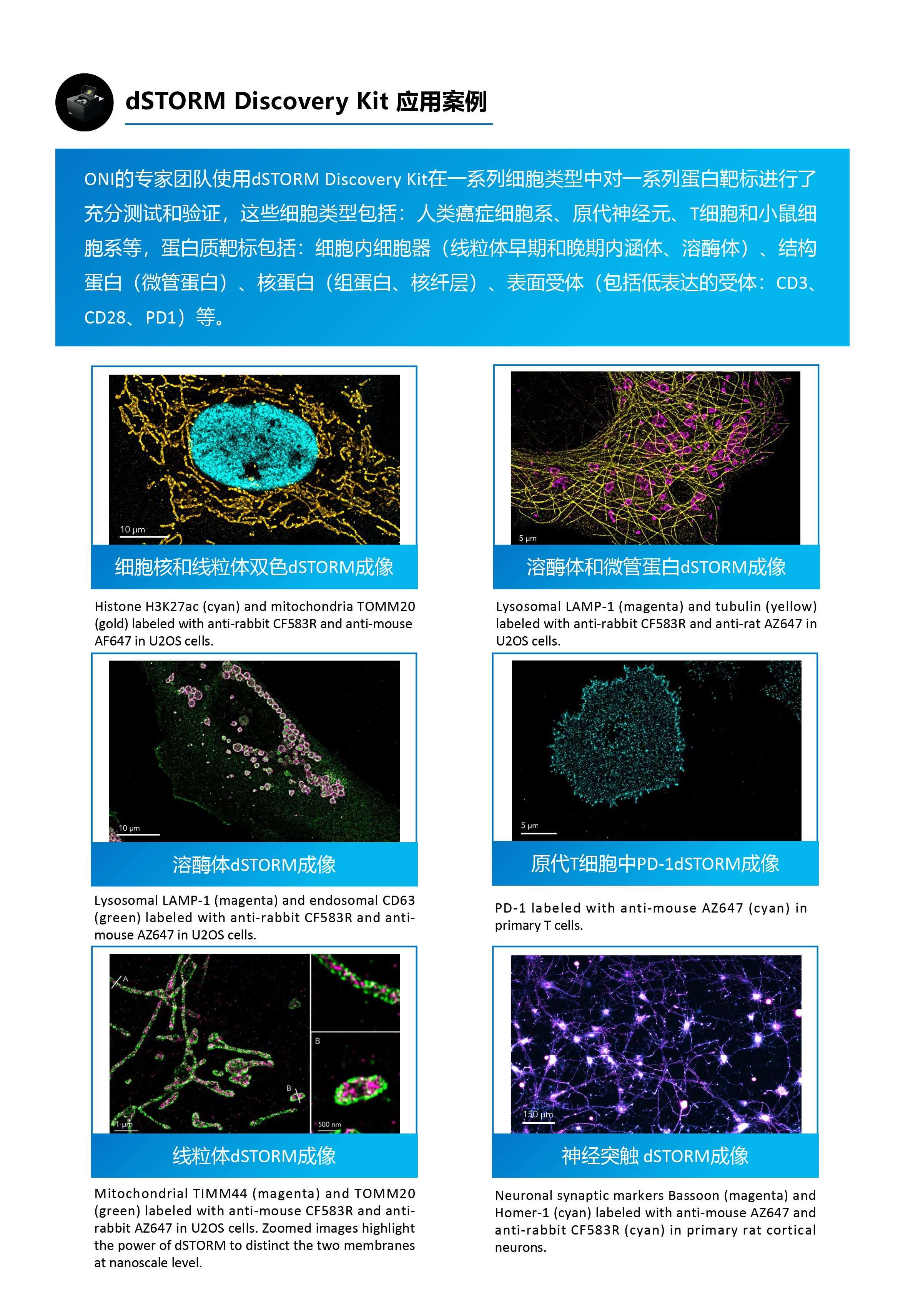 dSTORM Discovery Kit-4.jpg